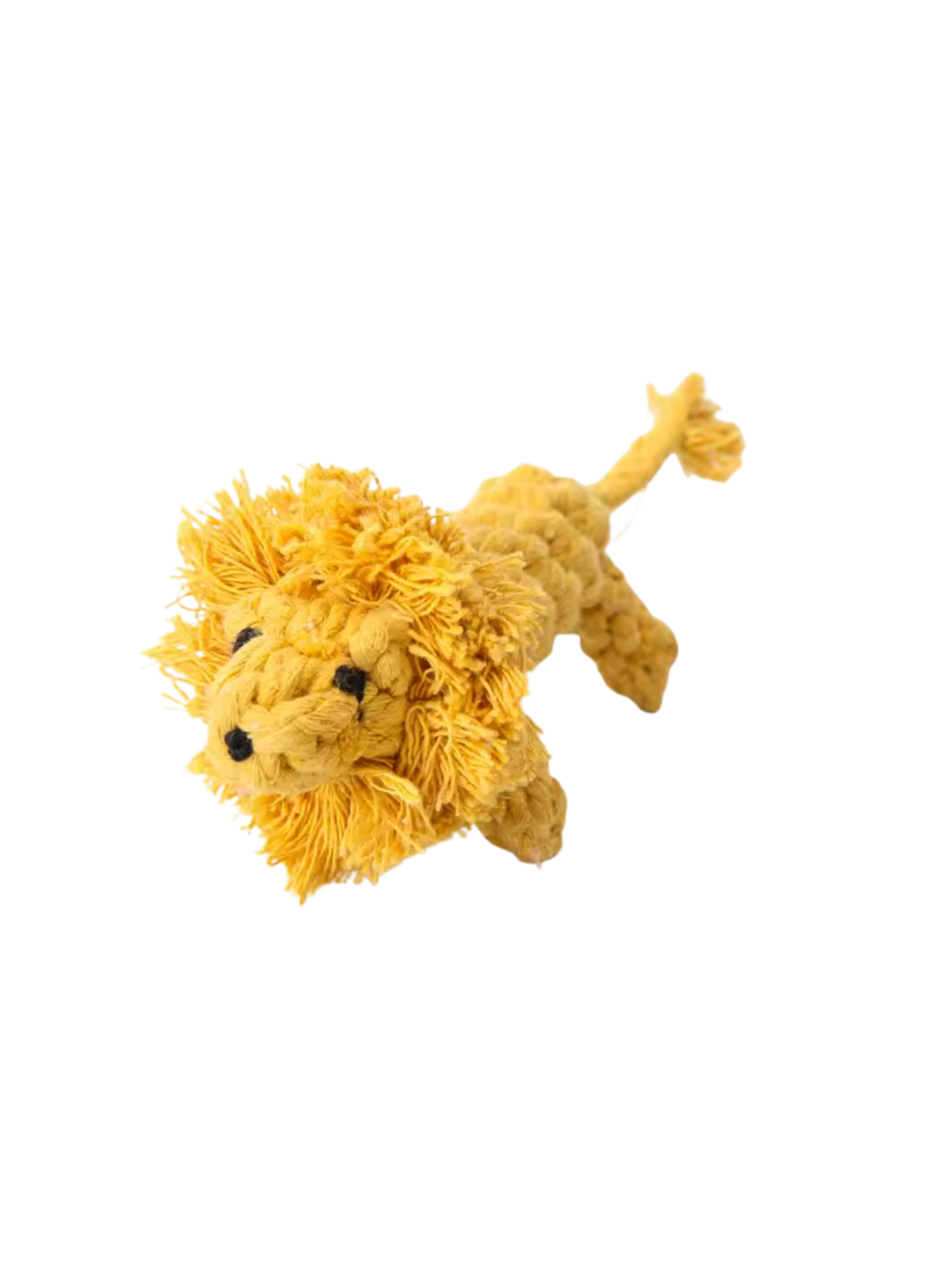 King Lion